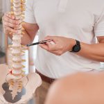 Spine model, healthcare and chiropractor with woman for consultation or treatment advice. Physiotherapy, wellness and doctor with patient and skeleton explaining cause of back pain, injury or problem.
