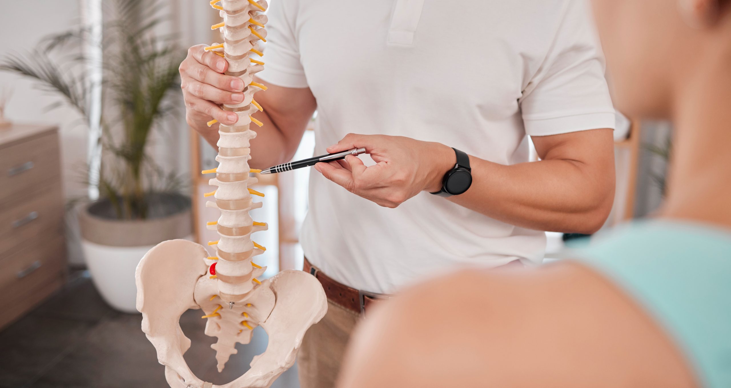 Spine model, healthcare and chiropractor with woman for consultation or treatment advice. Physiotherapy, wellness and doctor with patient and skeleton explaining cause of back pain, injury or problem.